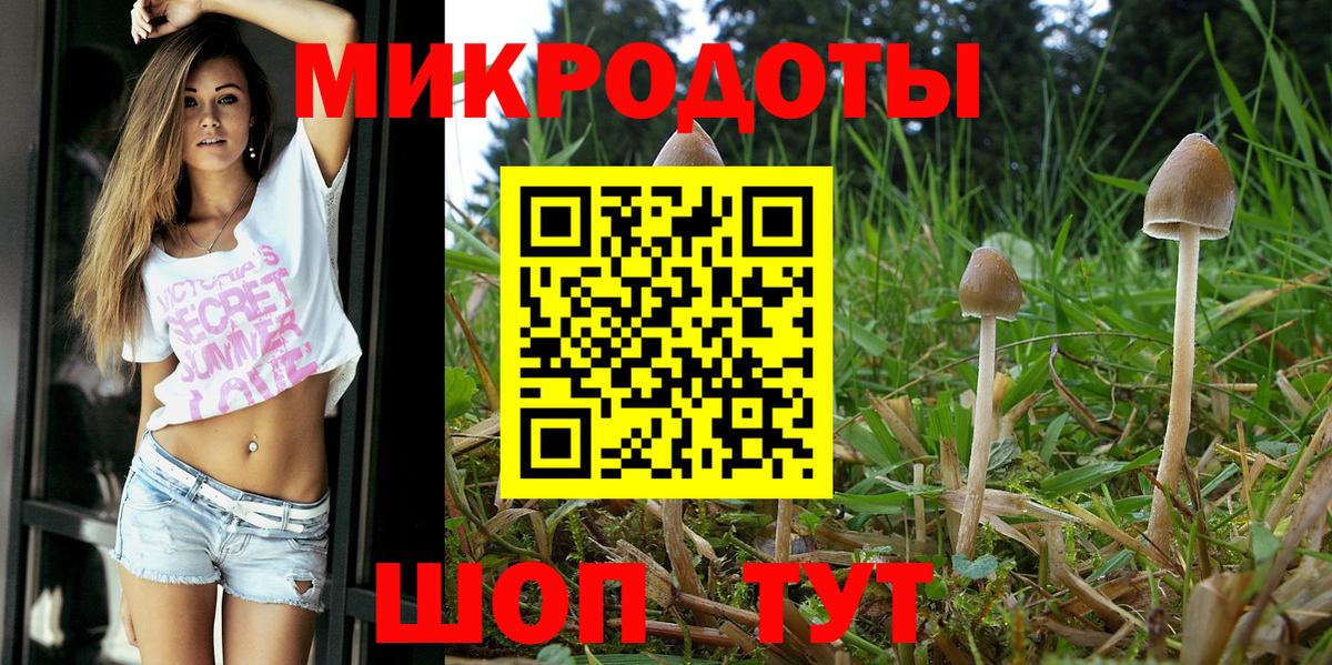 Псилоцибиновые грибы MAGIC MUSHROOMS Северобайкальск